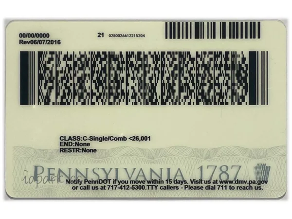 Pennsylvania ID - Image 2